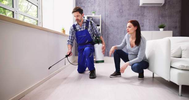 Best Pest Prevention Services  in Ladue, MO